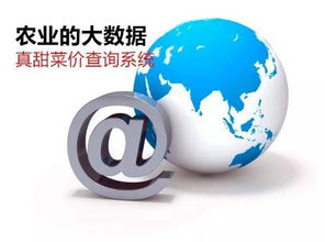 農業信息革命 告別“現代社會原始人”，擁抱“真甜菜價查詢系統”的魔力